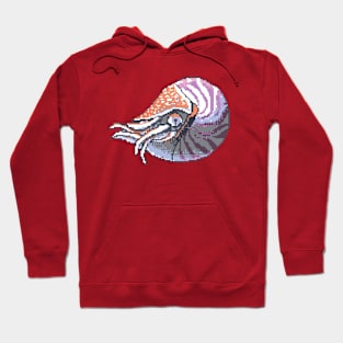 Pixel Nautilus Hoodie